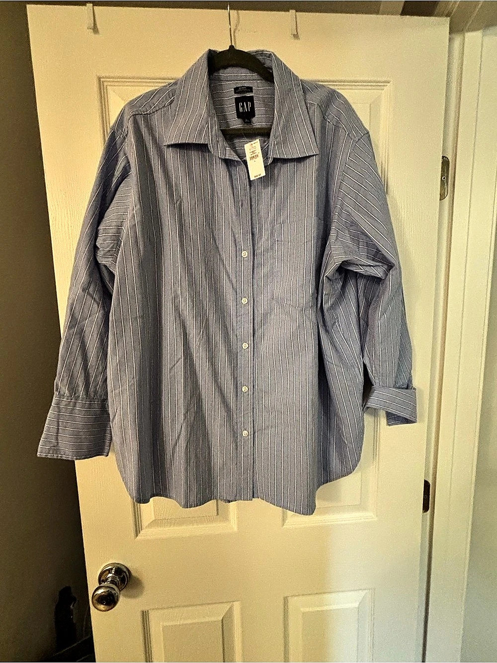 GAP Big Shirt Striped Cotton Button Down in Blue & White Size Large NWT